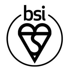 BSI Kitemark logo.