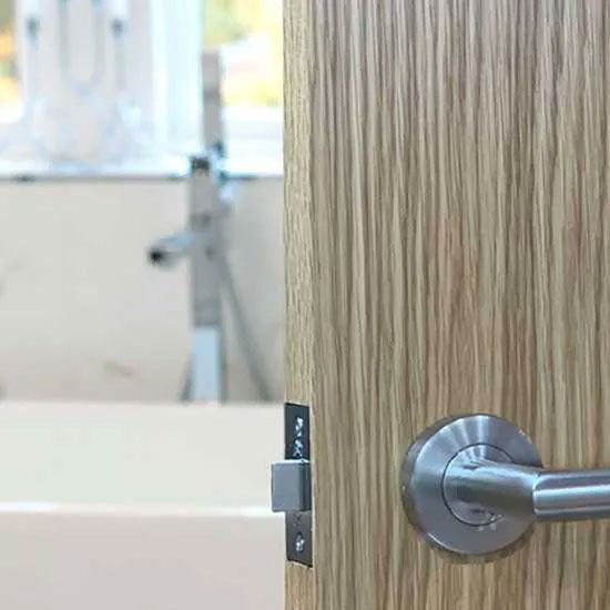 Bathroom Door Handles
