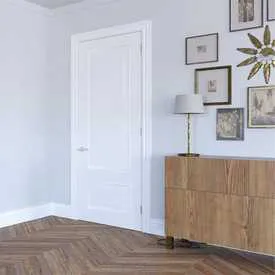 Shaker Doors